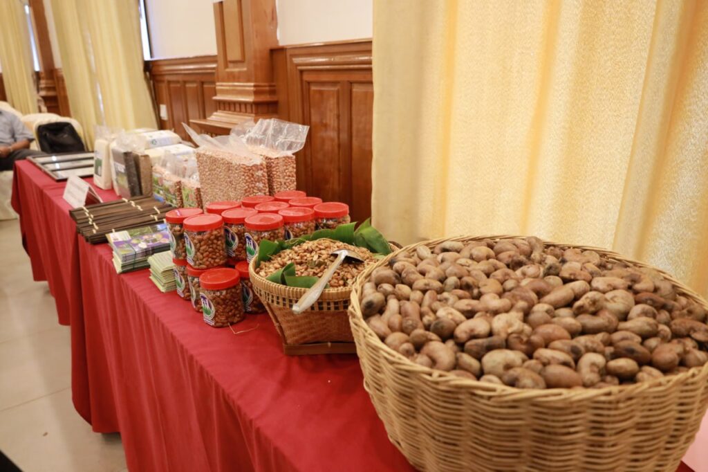 Cambodian Cashew nut